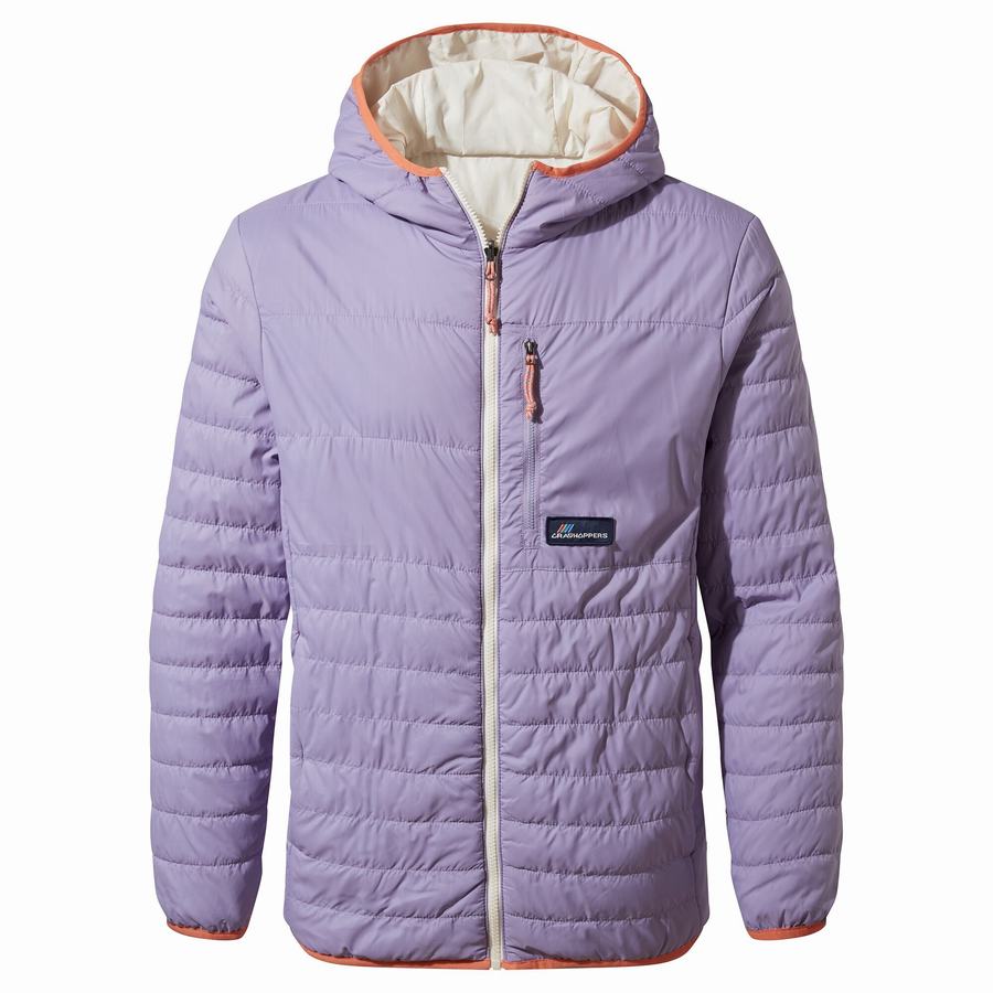 Craghoppers Cameo CompressLite Hupullinen Miesten Takki Violetit | HVN397MR