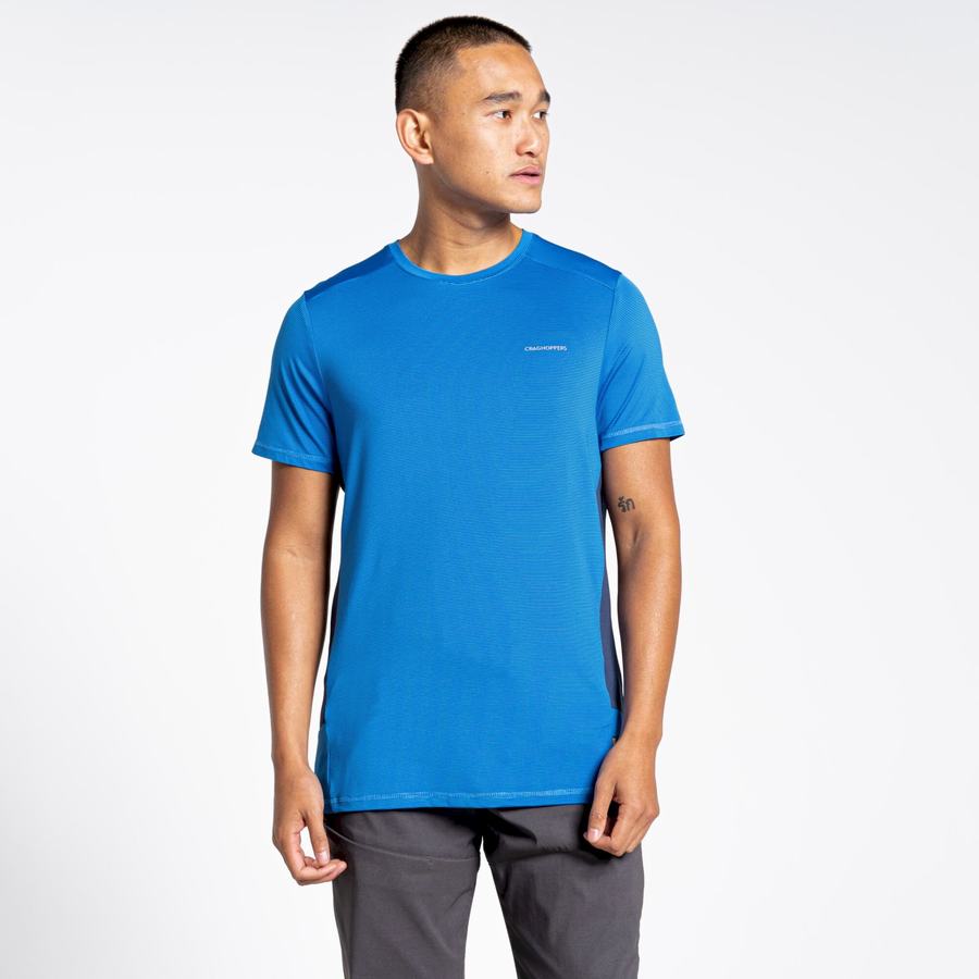 Craghoppers Atmos Lyhyt Sleeved Miesten T-paidat Sininen | NSI652FF