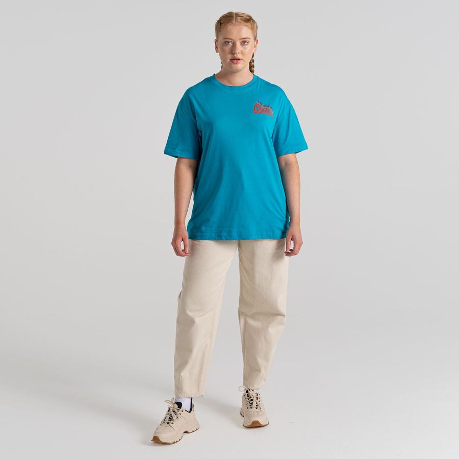 Craghoppers Crosby Lyhyt Sleeved Miesten T-paidat Sininen | DTI9325IE