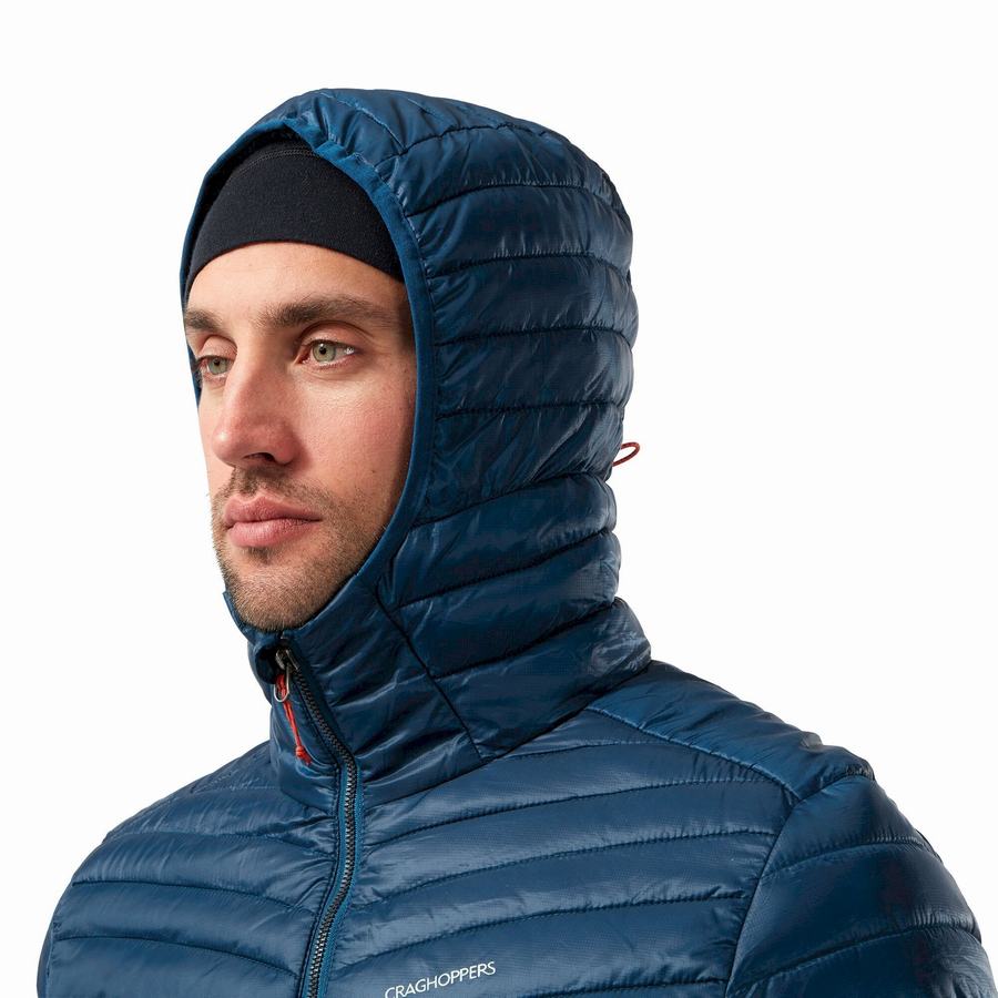 Craghoppers Insulated ExpoLite Hupullinen Miesten Takki Laivastonsininen Sininen | XNK4734YC