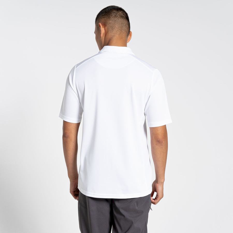 Craghoppers NosiLife Pro Active Lyhyt Sleeved Polo Miesten T-paidat Valkoinen | PXG2691DX