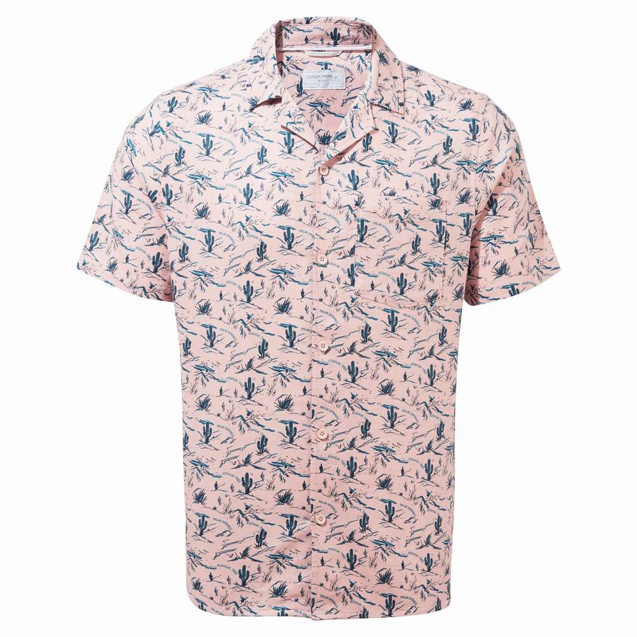 Craghoppers Nosibotanical Hula Lyhyt Sleeved Miesten Paidat Pinkki | DQG3512PF