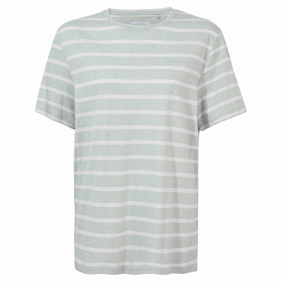 Craghoppers Nosibotanical Sten Lyhyt Sleeved Miesten T-paidat Vihreä | CIO3565SZ